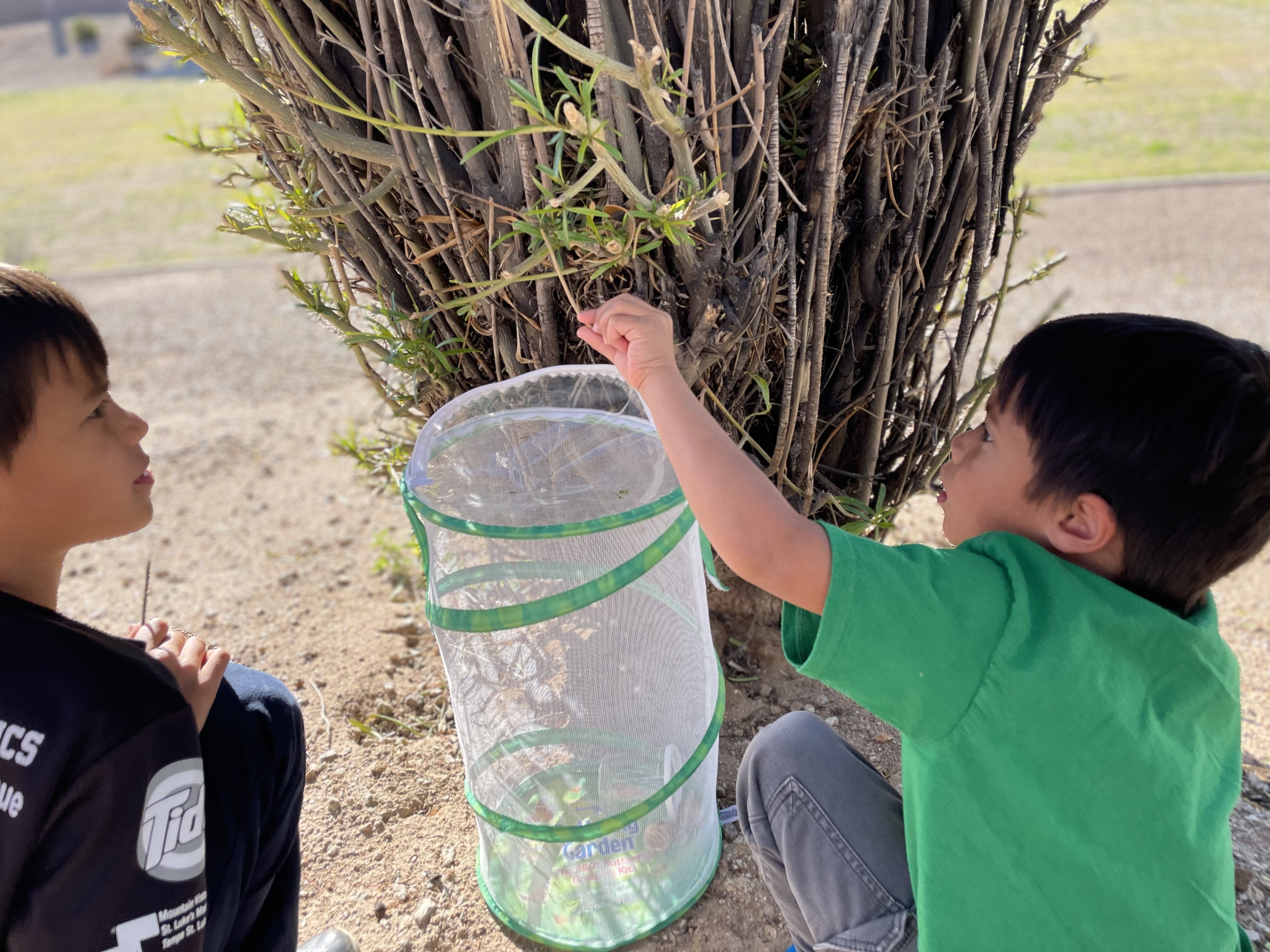 Bugging Into Spring Bugging Out on Spring Break – Our Life in A-Z